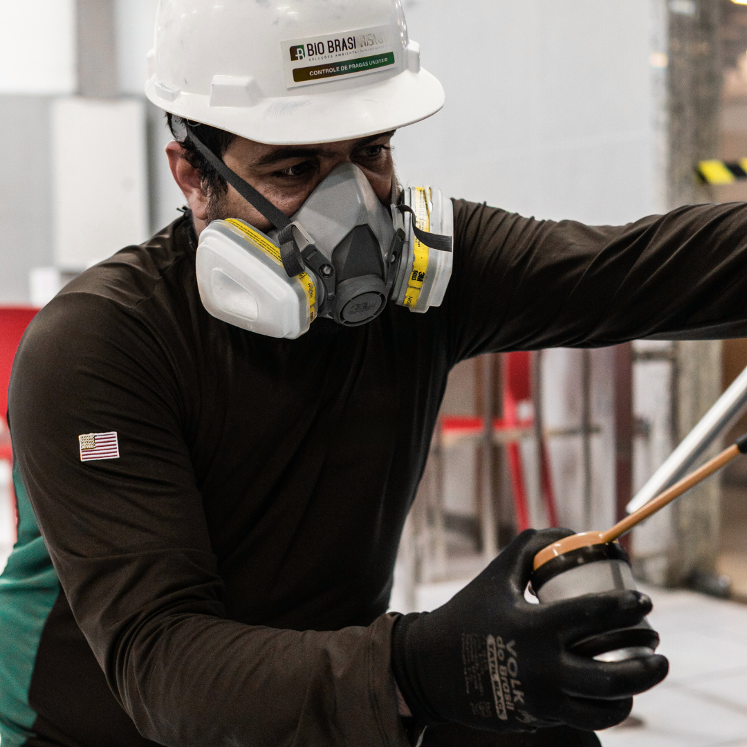 controle-de-formigas