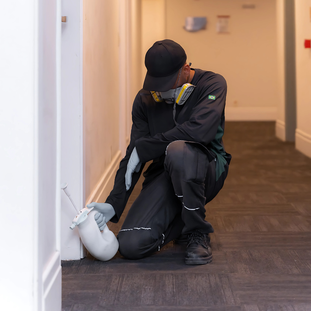 controle-de-pragas-hotel